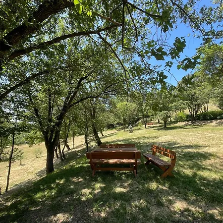 Spoleto Splash No920 Torettawifiaircondishwasher Otel *