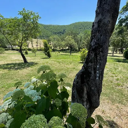 Spoleto Splash No920 Torettawifiaircondishwasher Otel Strettura